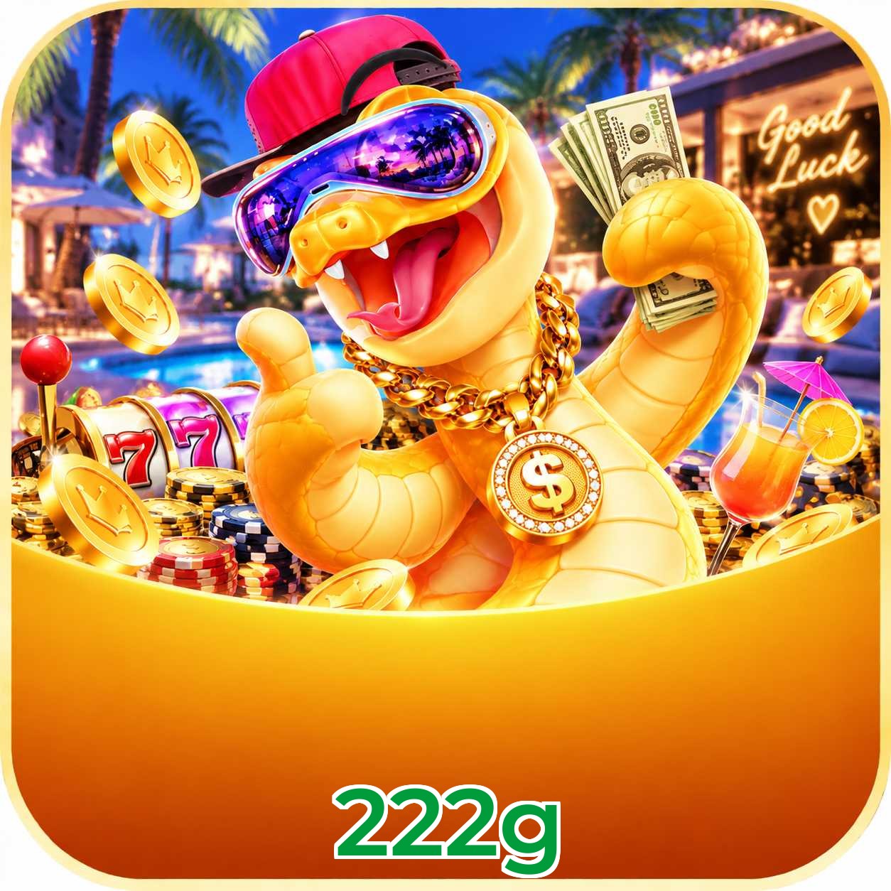 222g VIP Program