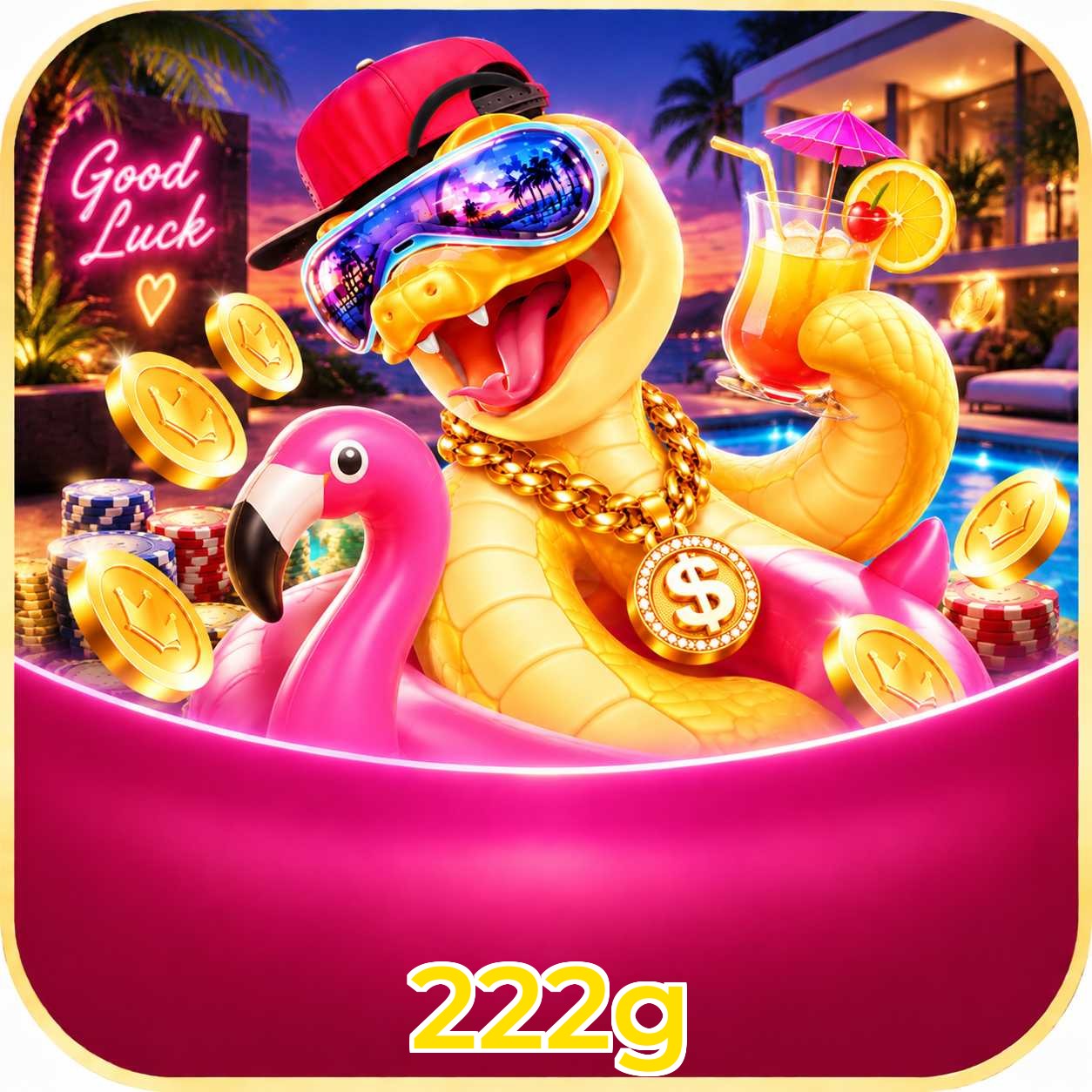 222g Logo